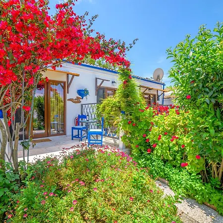 Elena's Seaside & Apartamento