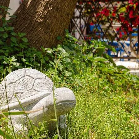 Elena's Seaside & Apartamento *